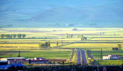 Doğu Anadolu Bölgesi’nde Tarımsal Alan Kullanımı ve Su Potansiyeli Değerlendirildi